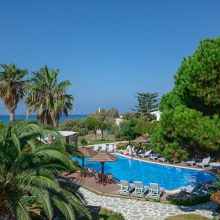 Alkyoni Beach Hotel Naxos City 외부 사진