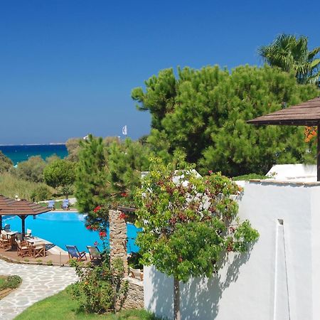 Alkyoni Beach Hotel Naxos City 외부 사진
