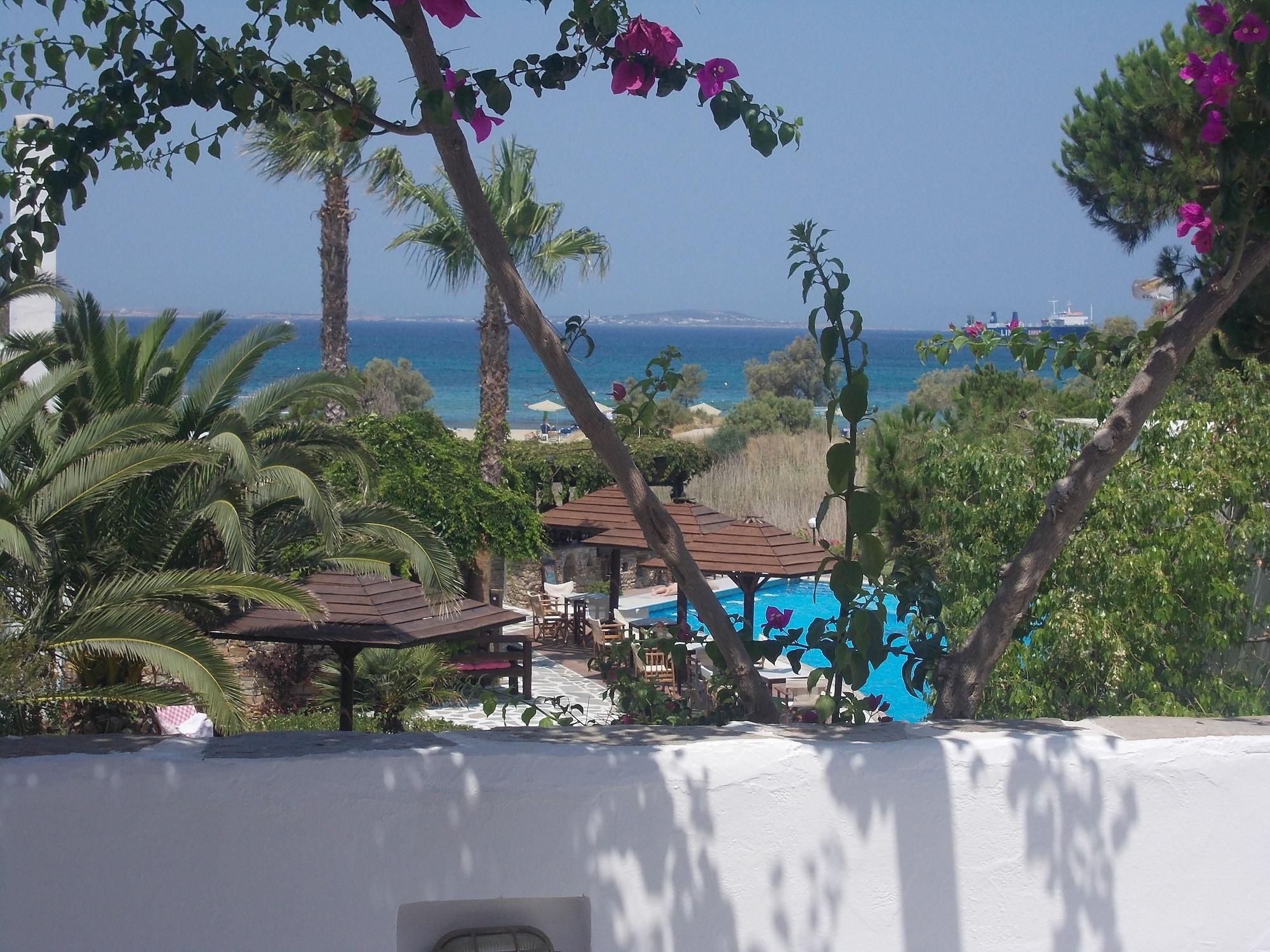 Alkyoni Beach Hotel Naxos City 외부 사진