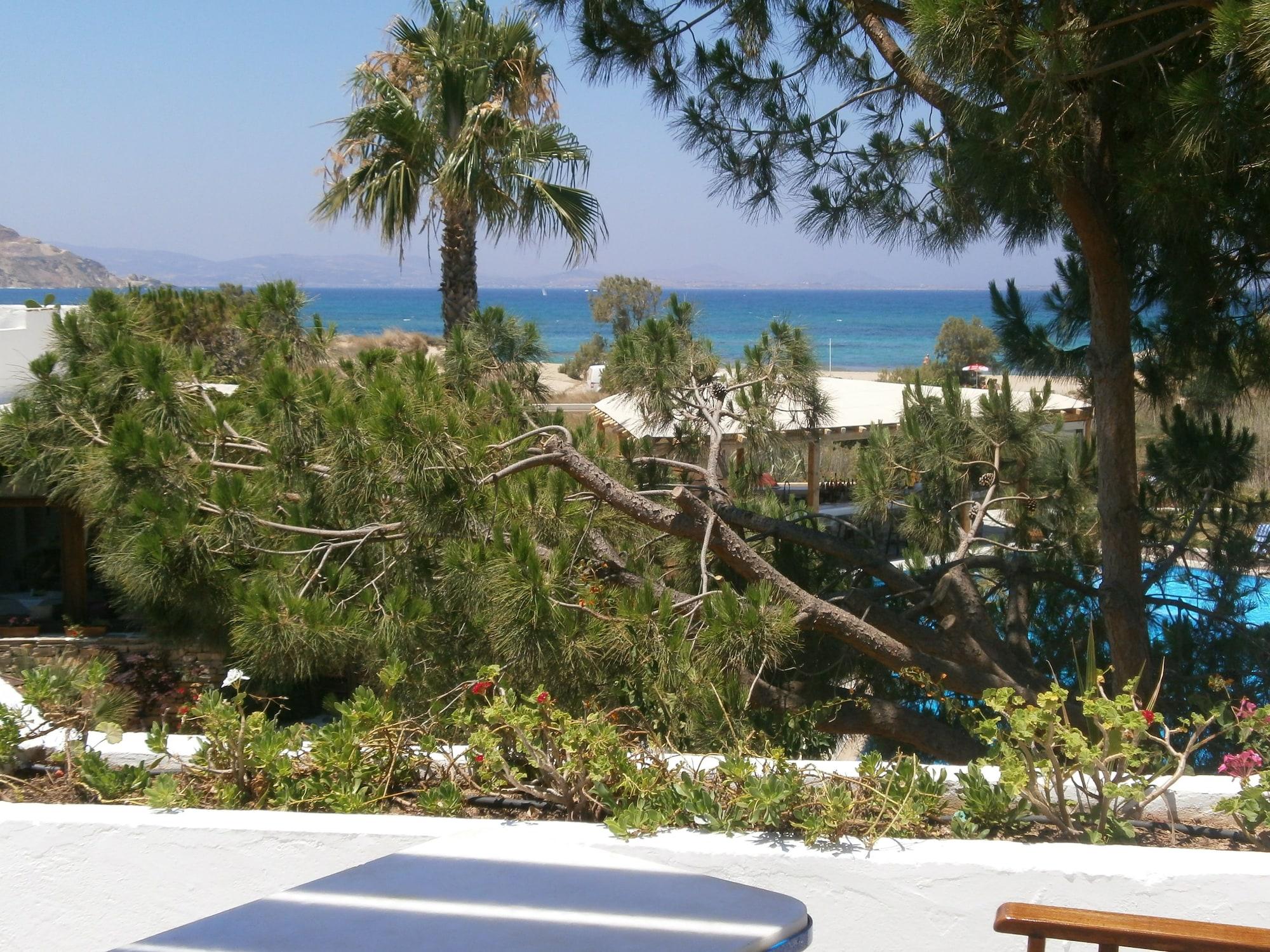Alkyoni Beach Hotel Naxos City 외부 사진