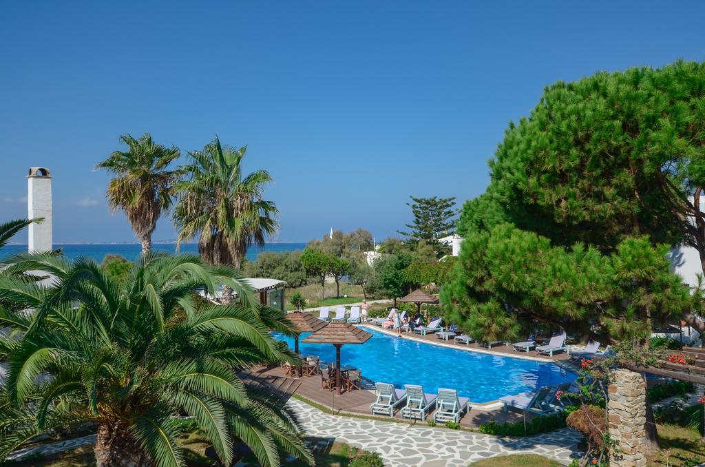 Alkyoni Beach Hotel Naxos City 외부 사진